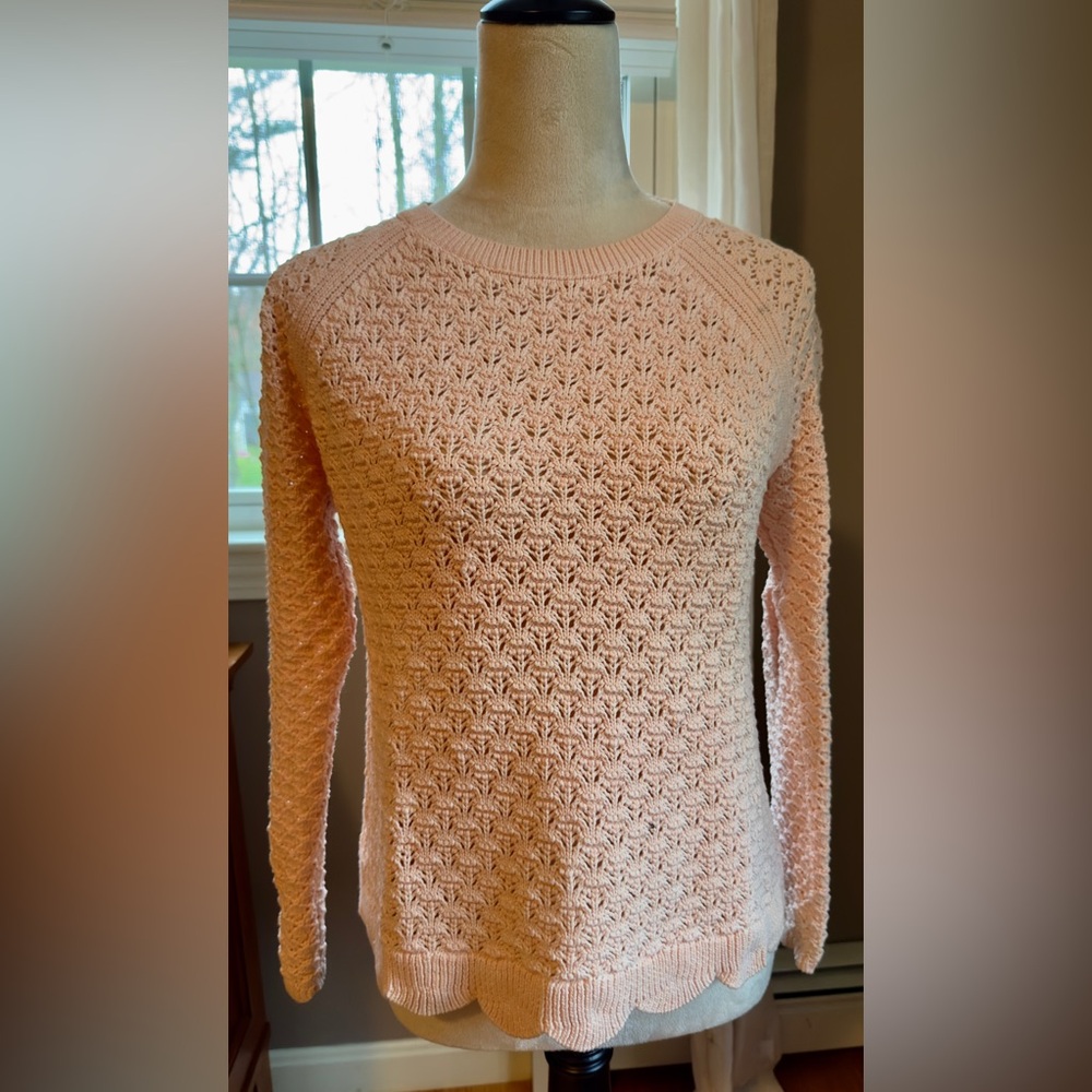 LOFT Soft Blush Lace-Knit Crewneck Sweater